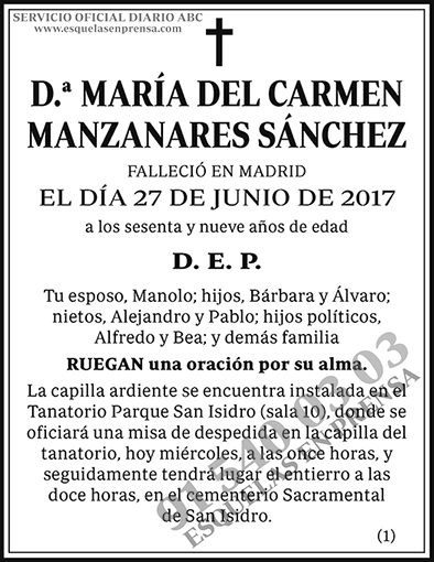 María del Carmen Manzanares Sánchez